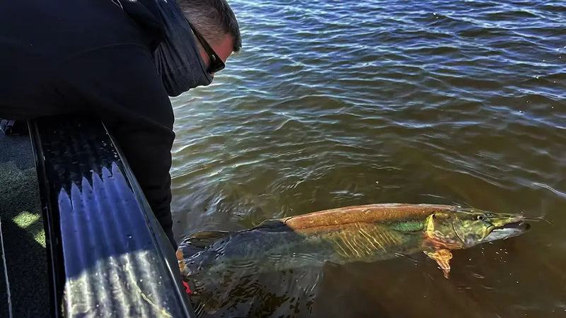 How to Choose the Perfect Musky Bucktail Rod