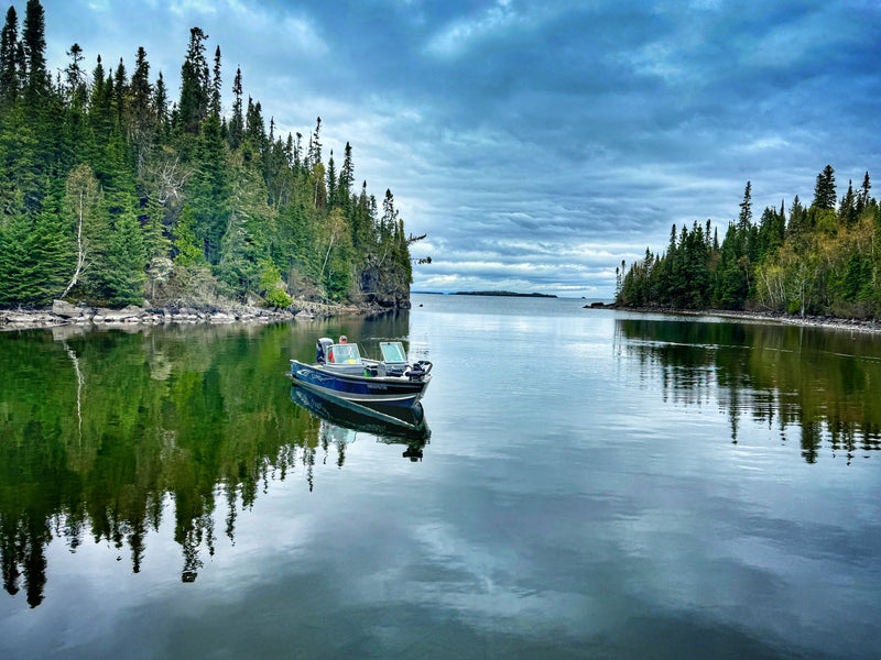 Multi-Species Fishing in Northern Ontario: Pike, Brook Trout, and Unforgettable Memories