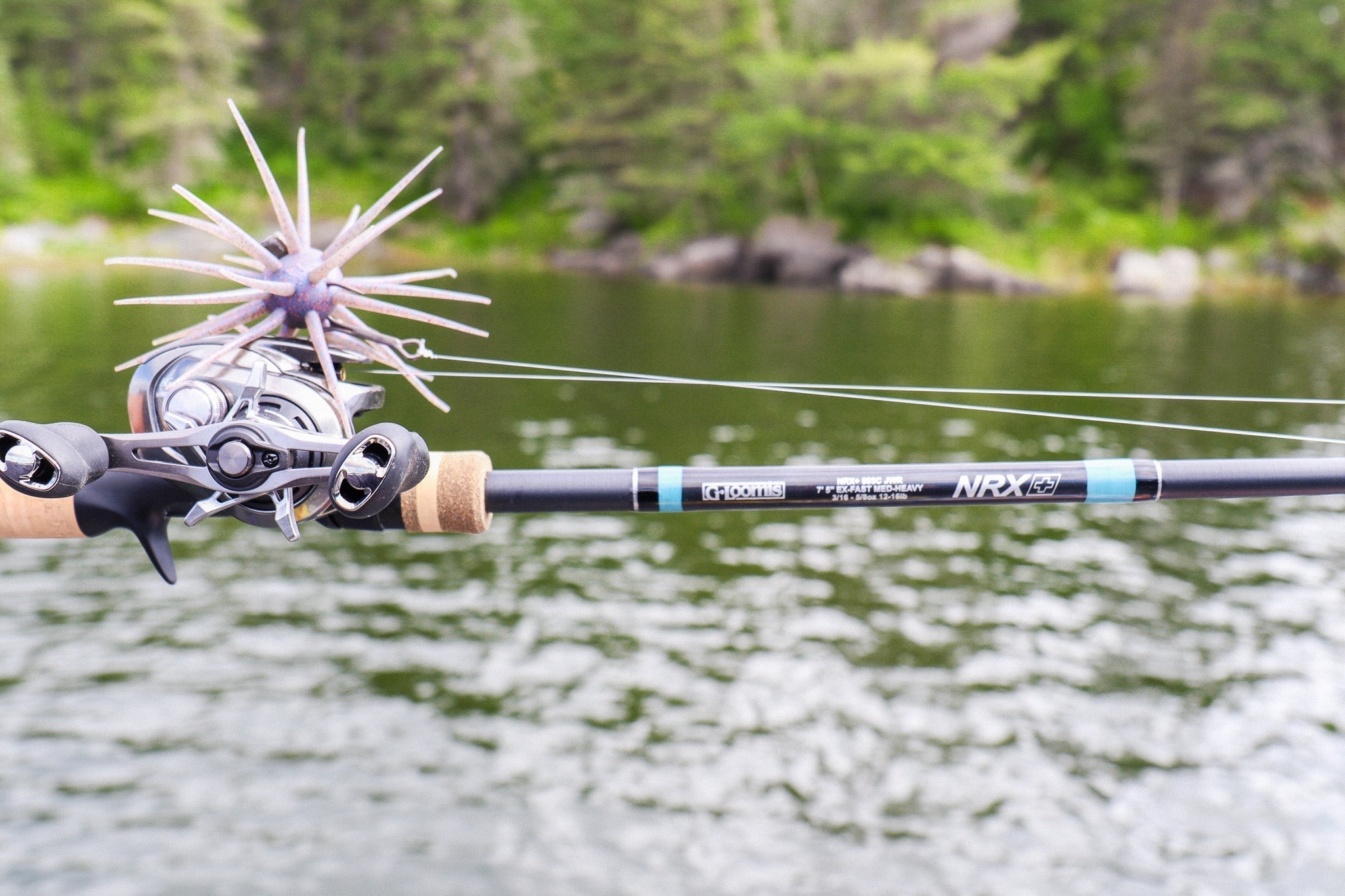 Northern Bass Fishing with Urchin Baits: Rigging, Rods and Line Setup
