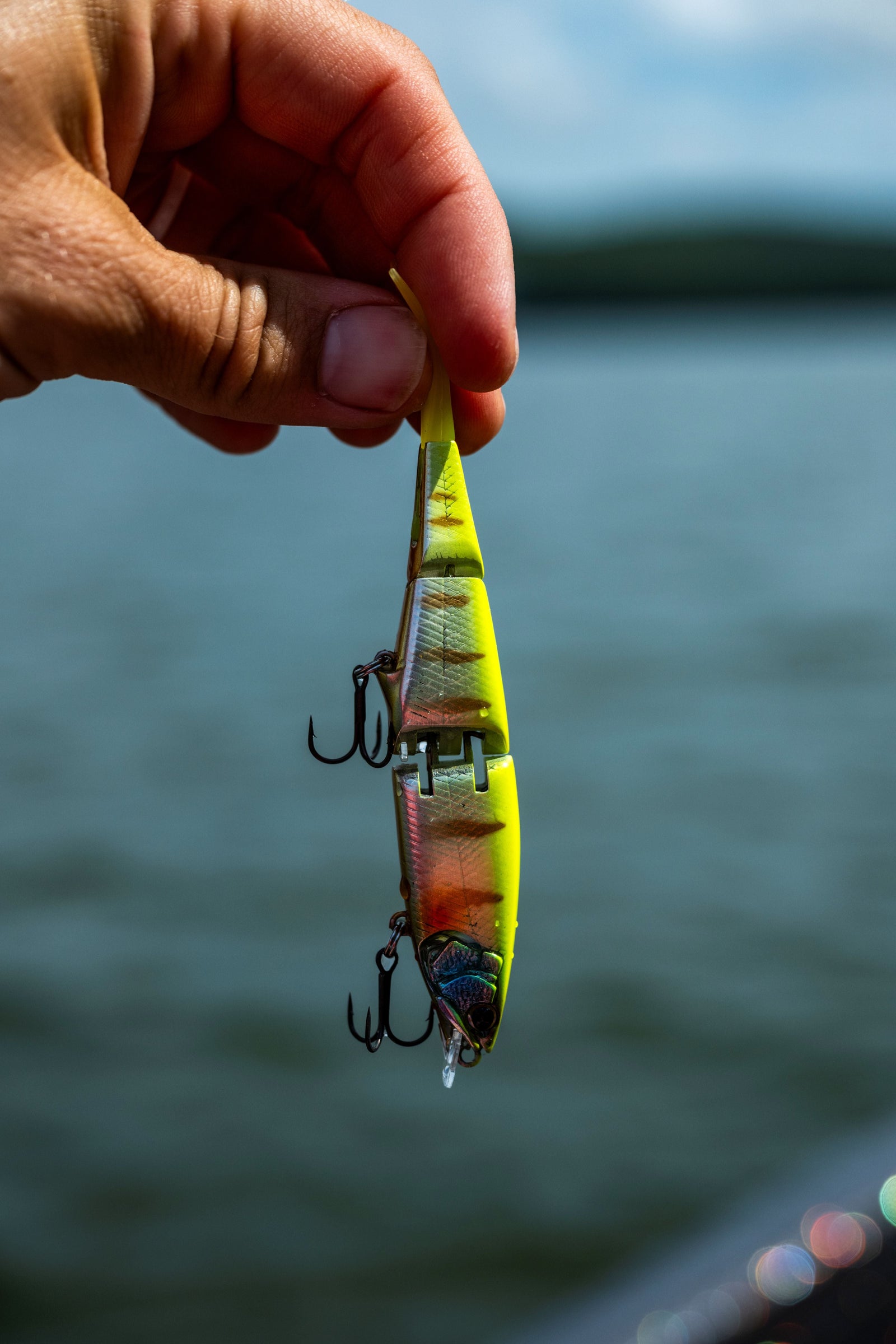 New Lures