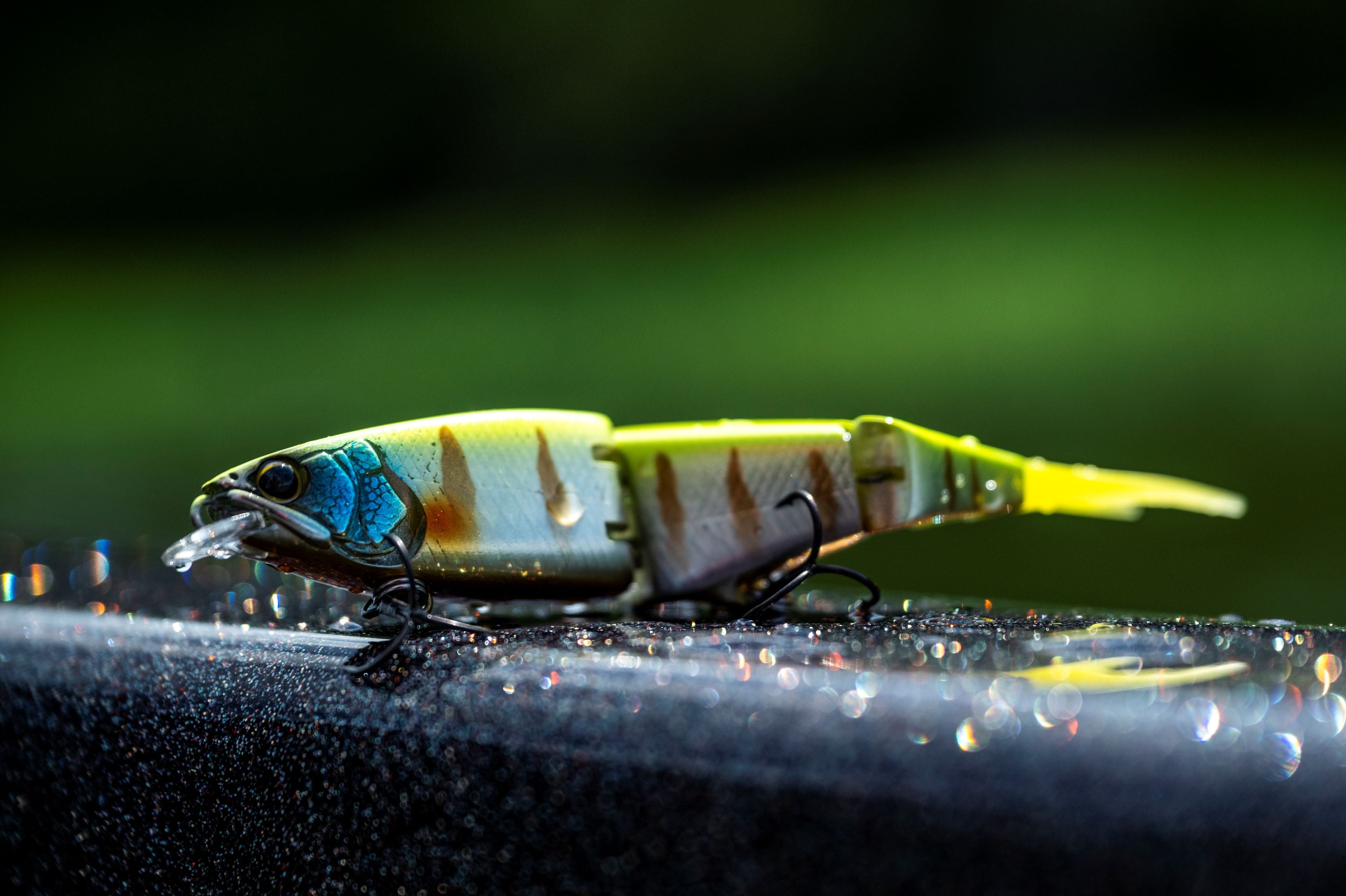 New Lures