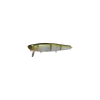 TENNESSEE SHAD