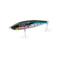 INJURED SARDINE