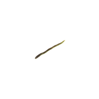CITROUILLE VERTE OR CHARTRUSE