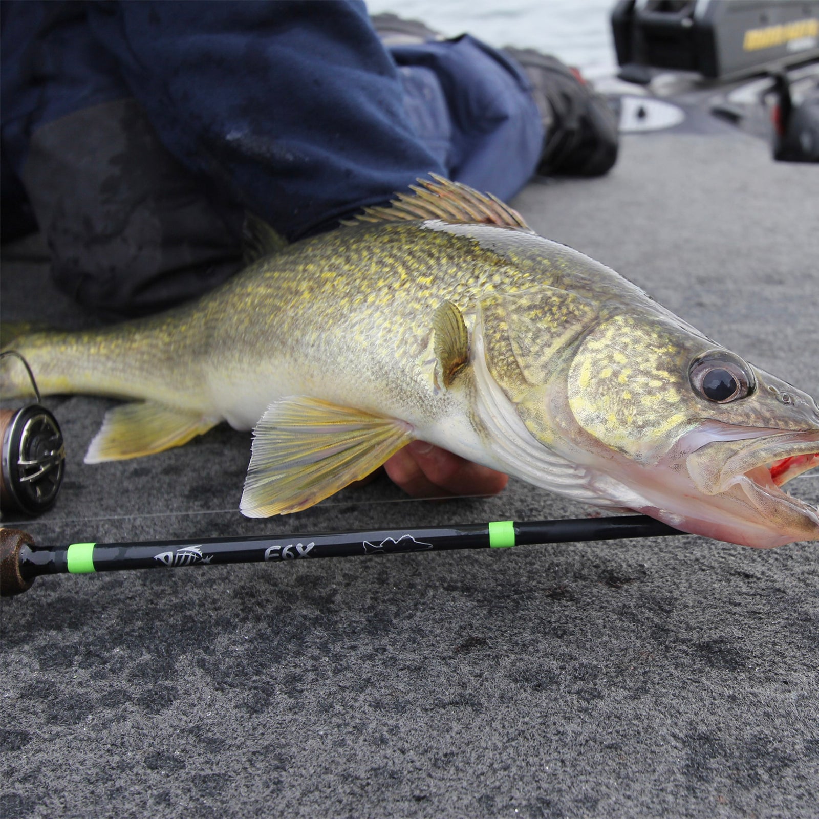 image of product E6X WALLEYE WJR