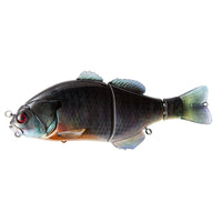 RT SPAWN GILL