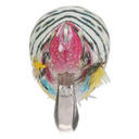front image of sku SEPCL25FBZP