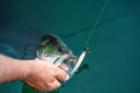 image of product DRIFT FRY 4.0