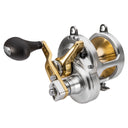 TALICA II CAM