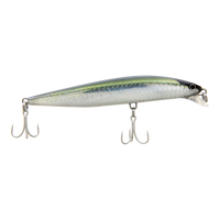 HERRING