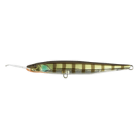 BLUEGILL