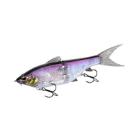 GÉSIER ROYAL