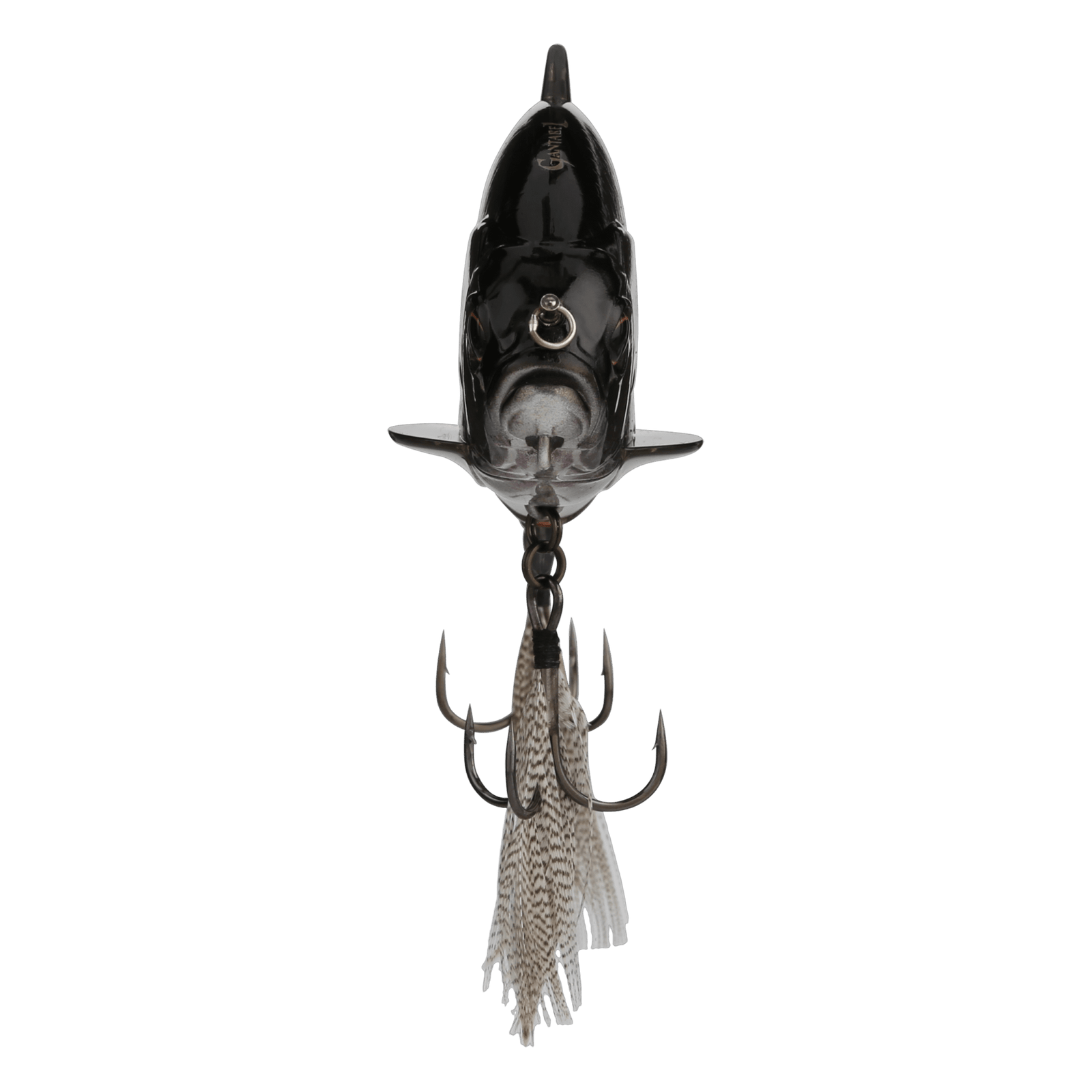 front image of sku JGANTJR-RTBP