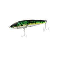 GREEN MACKEREL