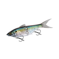 SEXY SHAD