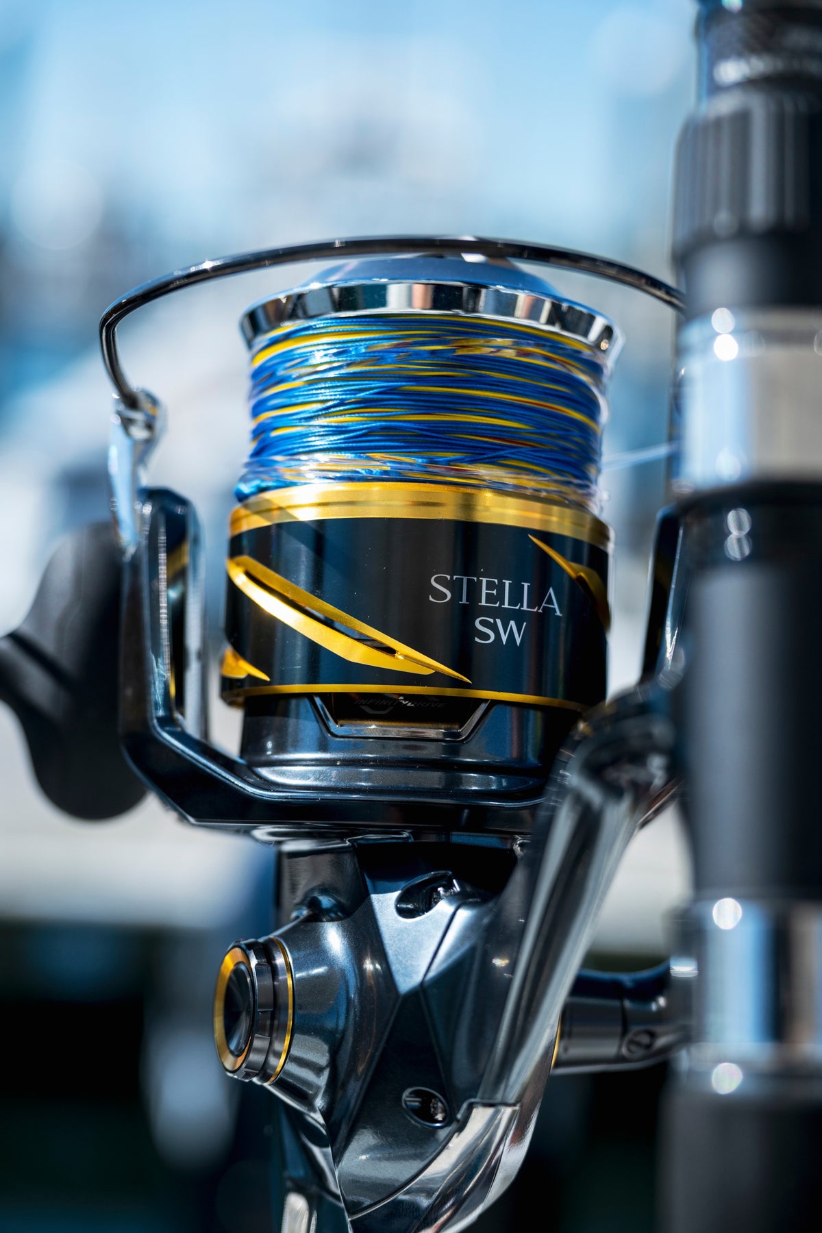[lifestyle] image of product STELLA SW D