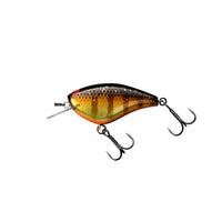 GOLD GILL