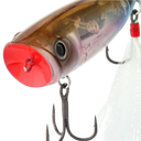 detail image of sku WP69FLTS