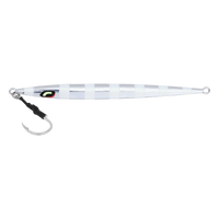 SILVER ZEBRA GLOW