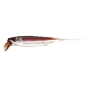 threequarter image of sku JDRFRY4-GW