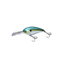 SS SHAD