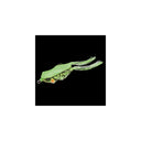 image of product KAERA