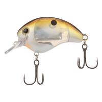 SEXY G SHAD