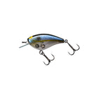 primary image of sku JBLG55-GARS