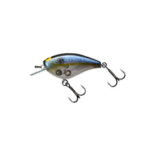 GHOST AR SHAD