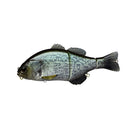 primary image of sku JGANTJR-RTCR