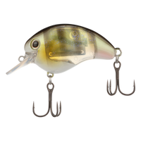 NATURAL GILL