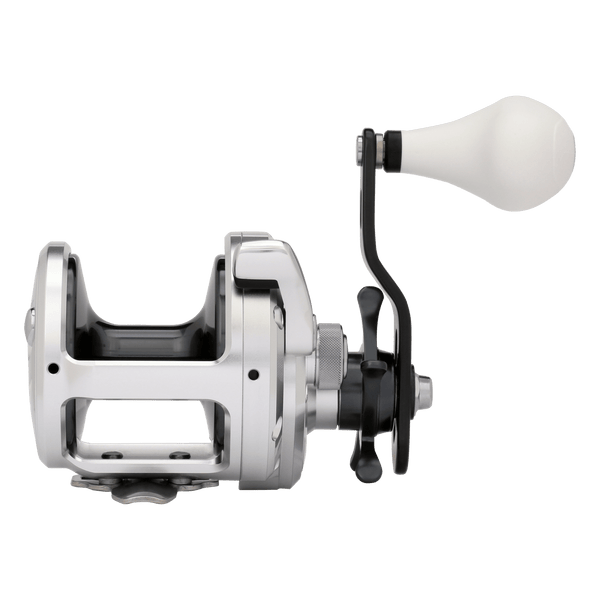back image of sku TN20A