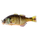 primary image of sku JGANT-RTB