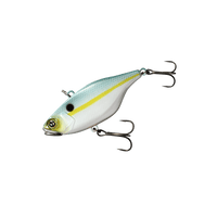 SS SHAD