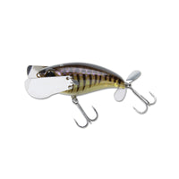 IS GILLBONE