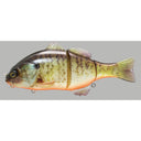 primary image of sku JGANTJR-RTB
