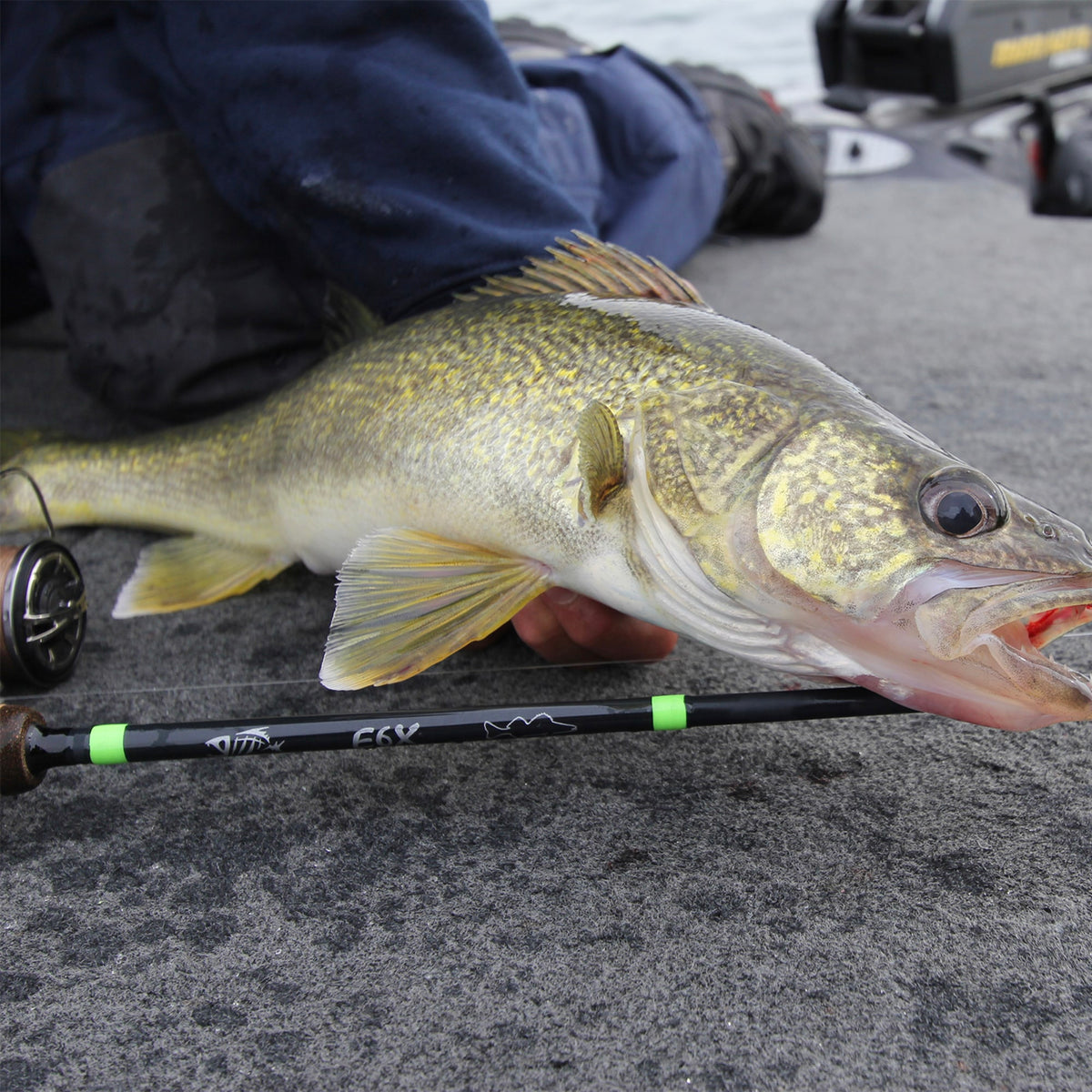 [lifestyle] image of product E6X Walleye WBBR