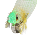 detail image of sku SEPCL25FBFBC