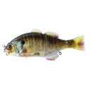 primary image of sku JGANT-RTGG