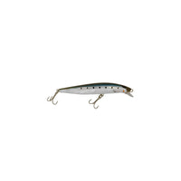 BLUE SARDINE