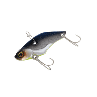 CLEAR SHAD
