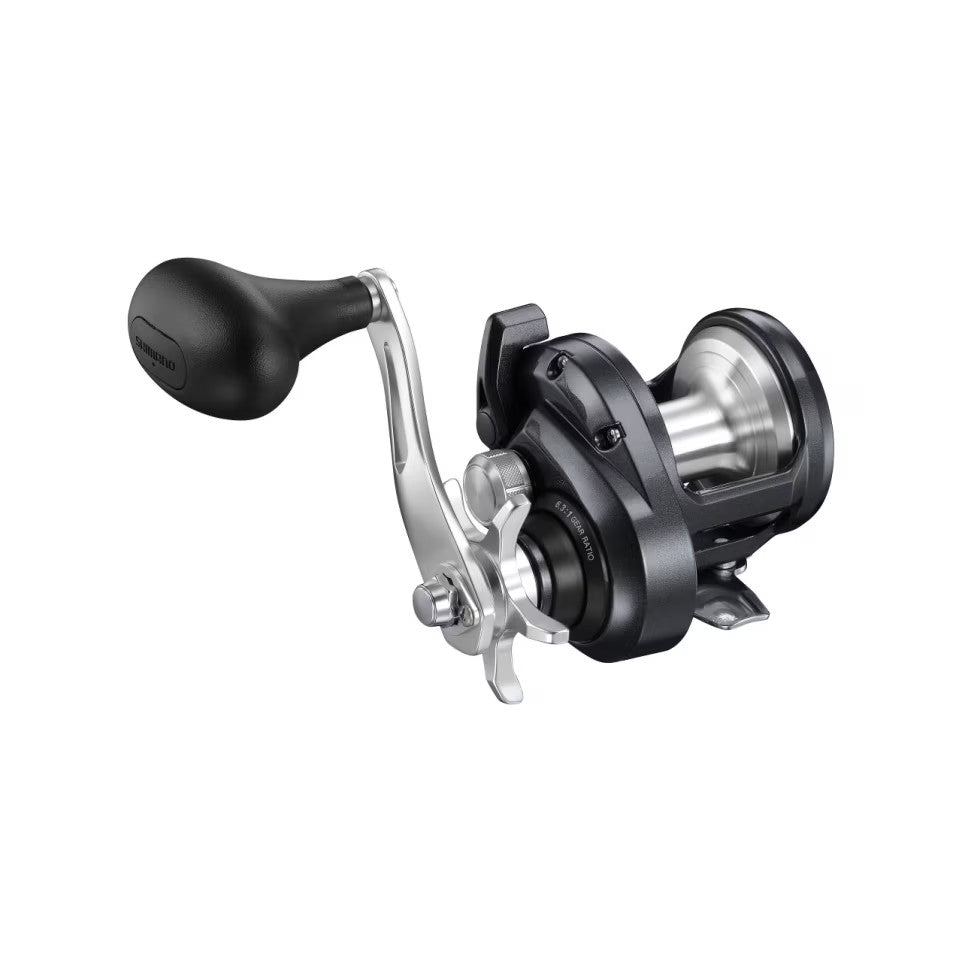 TORIUM JIGGING SPECIAL