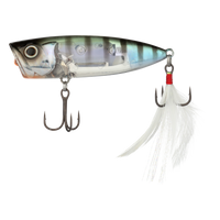 A GILL