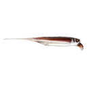 threequarter_2 image of sku JDRFRY4-GW