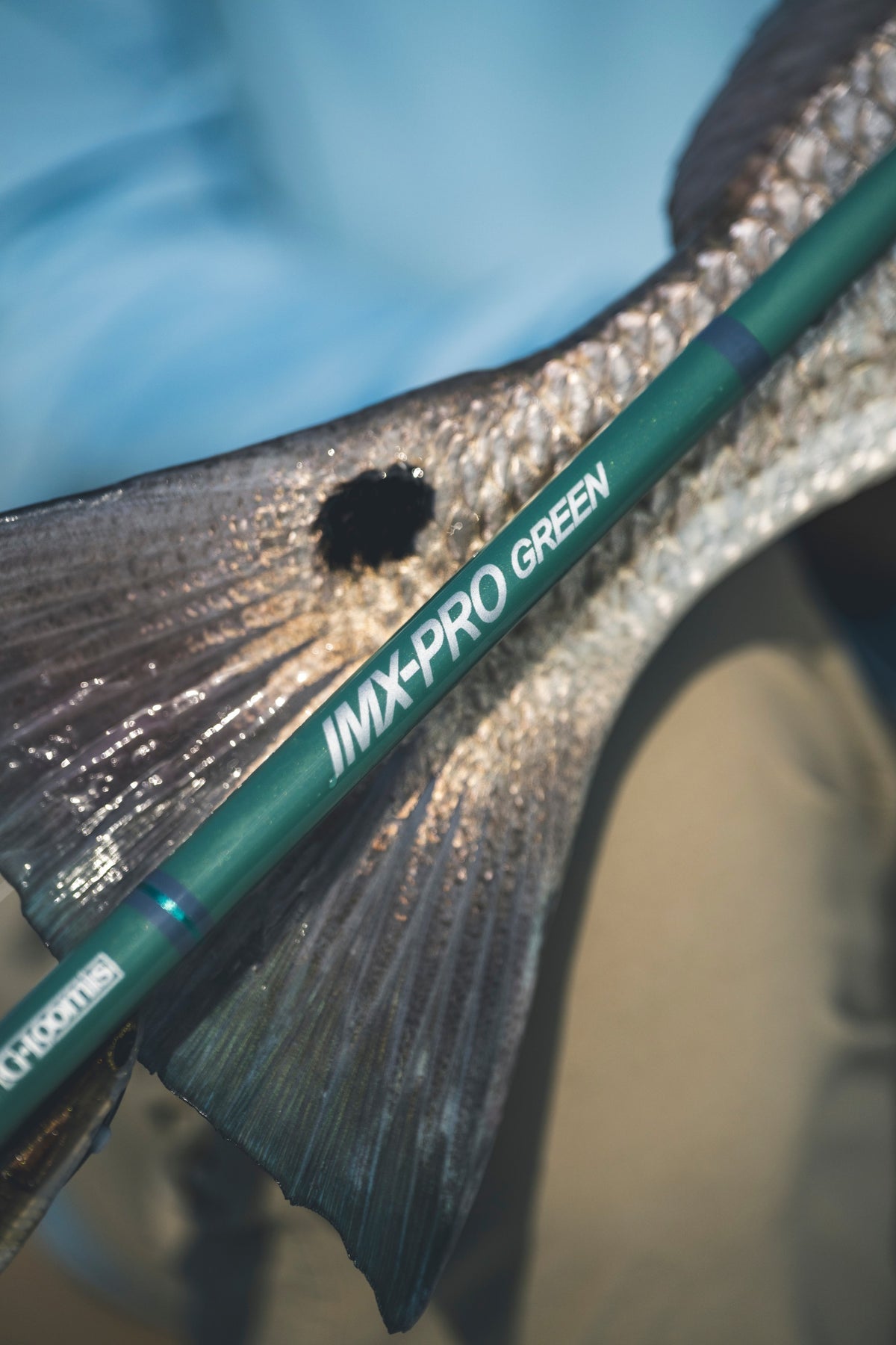 [lifestyle] image of product IMX-PRO GREEN SPINNING