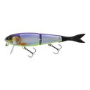 primary image of sku JBLBJR-FL