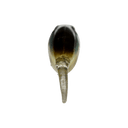 back image of sku JDRFRY4-SWF