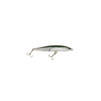 GREEN MACKEREL