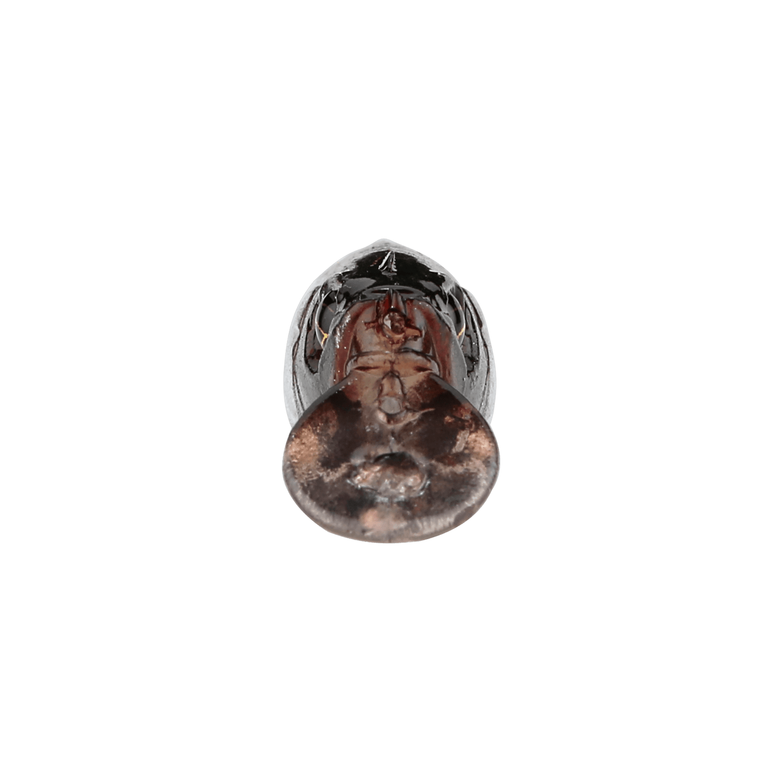 front image of sku JDRFRY4-SILS