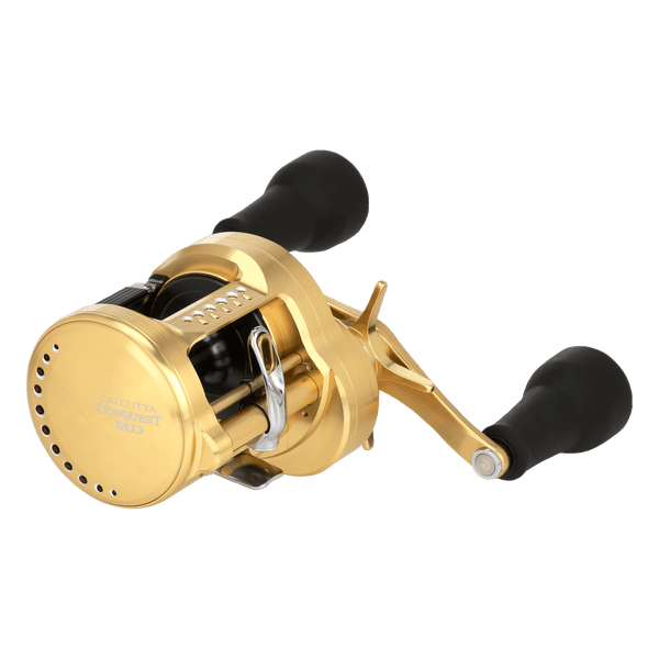 threequarter image of sku CTCNQMD401XGLHB